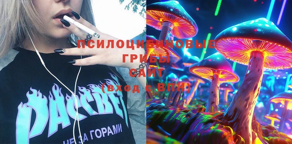 наркотики Бородино