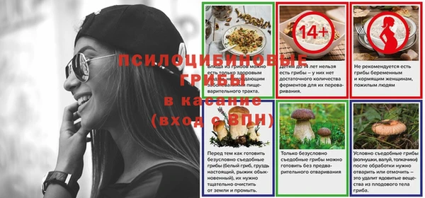 гидропоника Бронницы