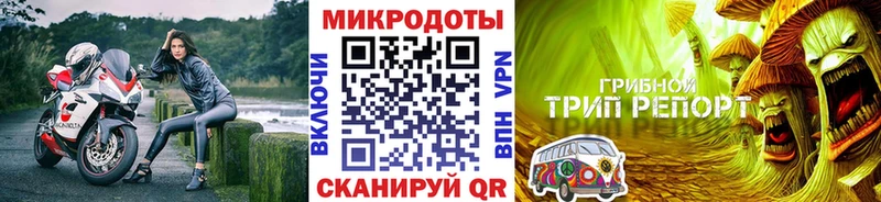 Галлюциногенные грибы прущие грибы  Нюрба 